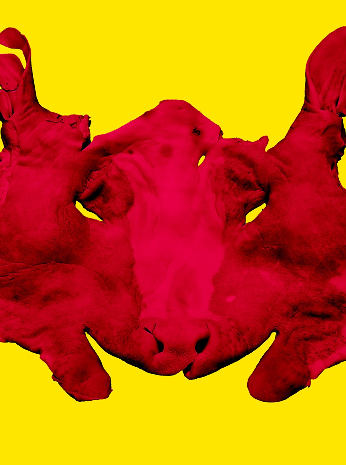 The Dead Cow 